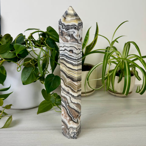 Zebra Jasper Tower