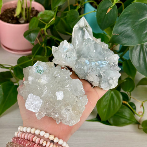 Apophyllite Cluster