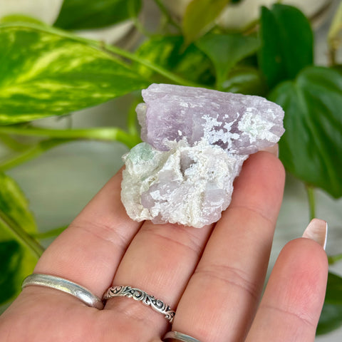 Kunzite Specimen - B