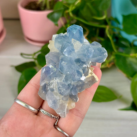 Celestite With Calcite Specimen