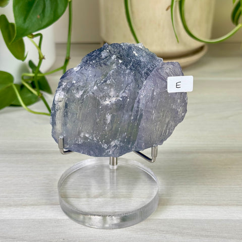 Bicolour Kunzite