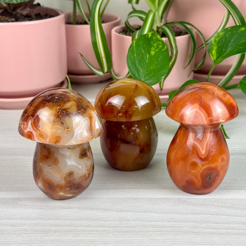 Carnelian Mushroom - Crystal Carving