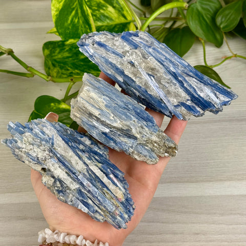 Blue Kyanite Cluster