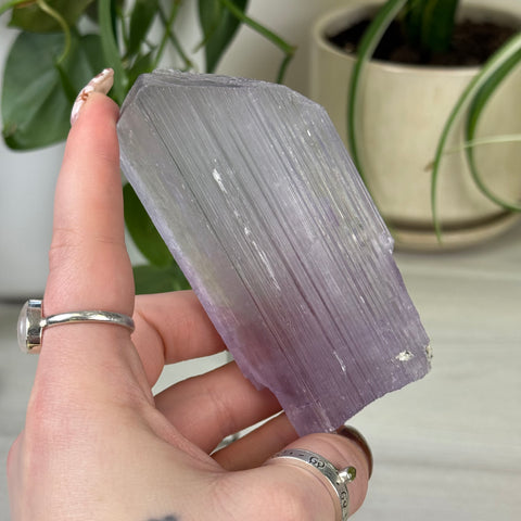 Cotton Candy Kunzite