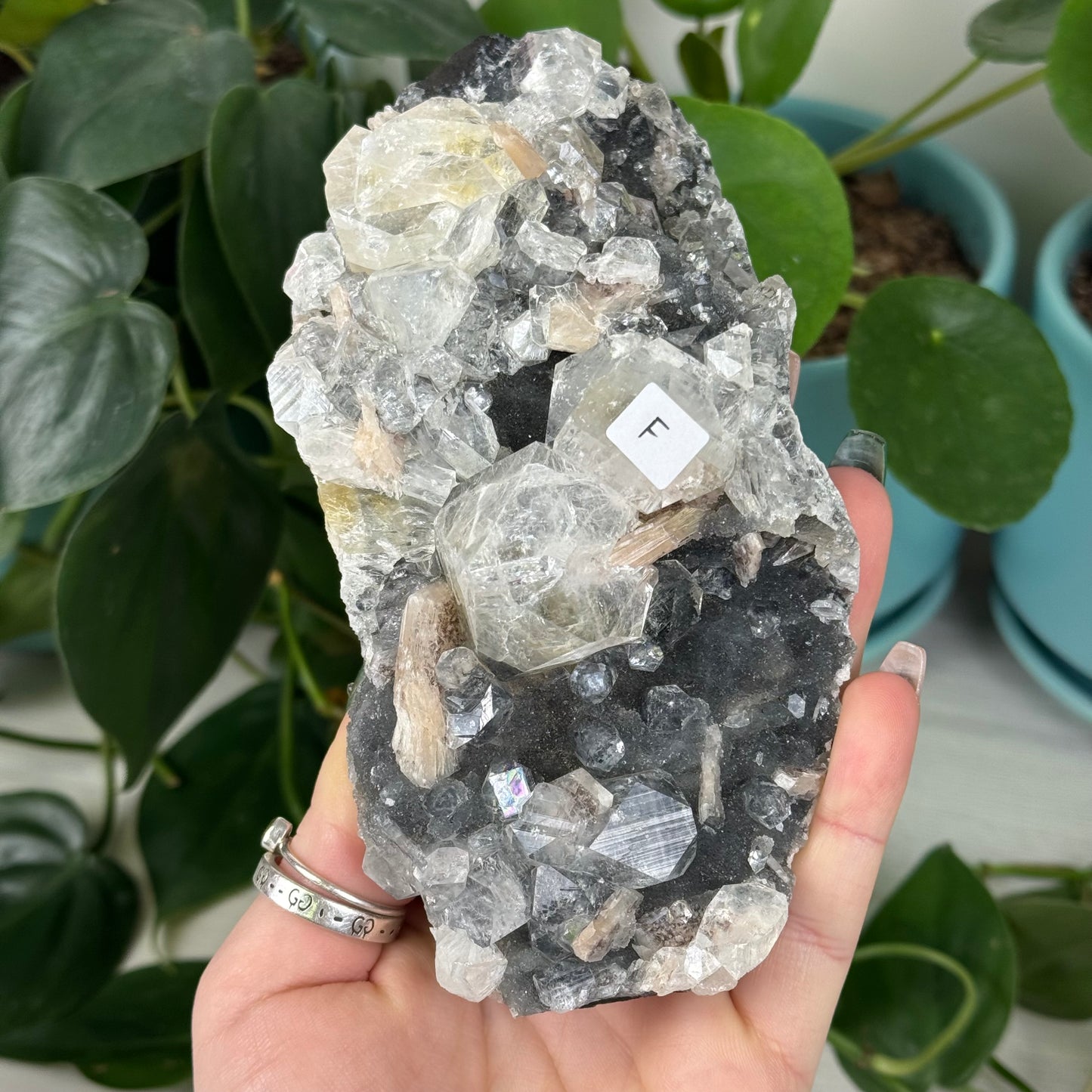 Black Chalcedony with Glossy Apophyllite