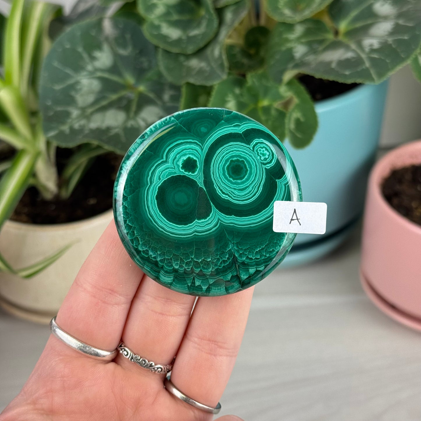 Malachite Cookie - A1