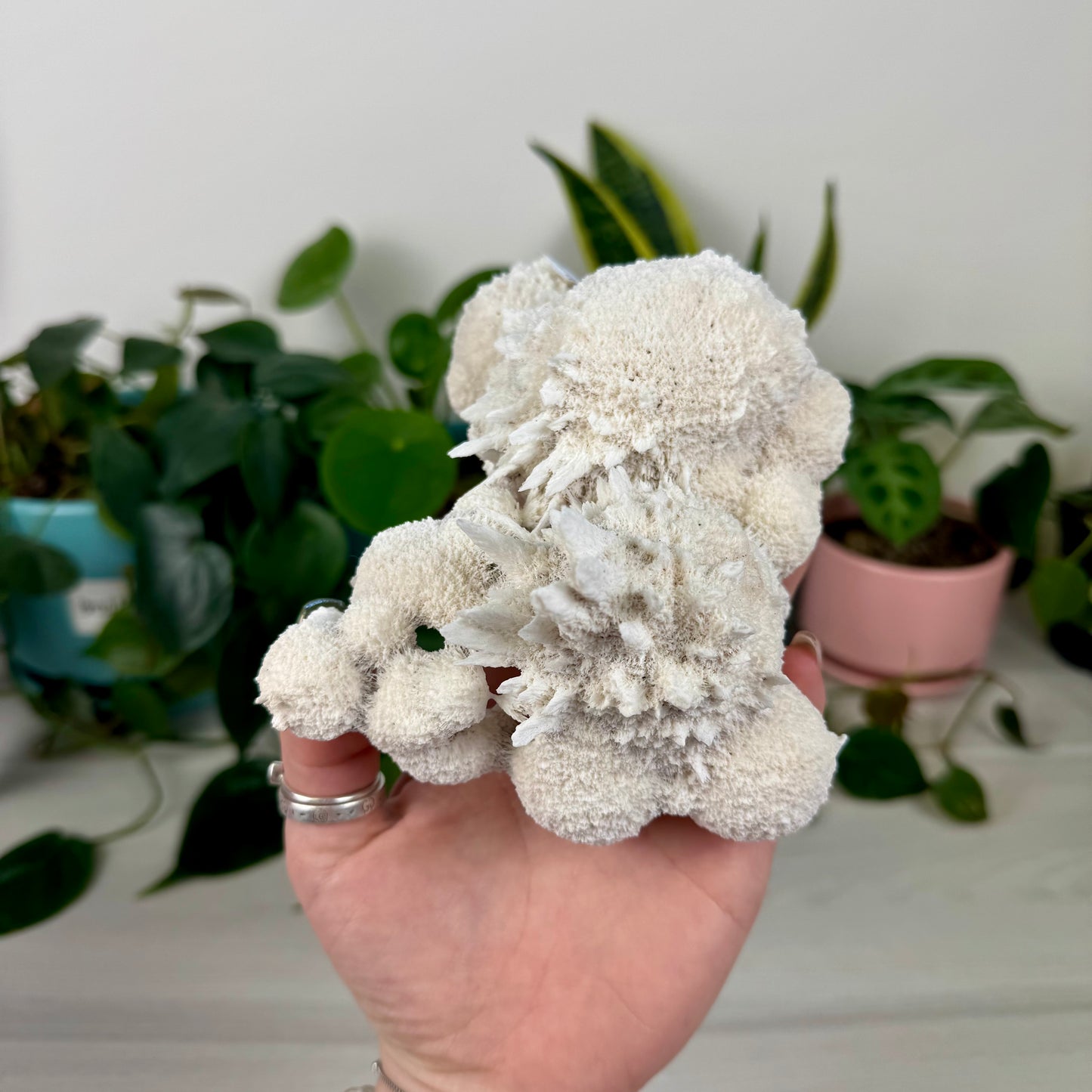 Mordenite w/ Stilbite Specimen