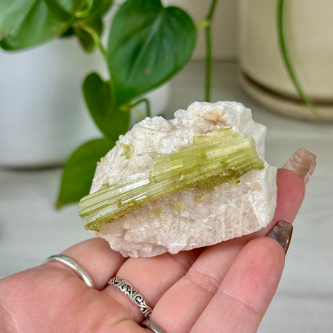 Green Tourmaline On Albite