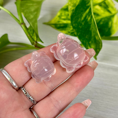 Mini Mozambique Rose Quartz Turtle