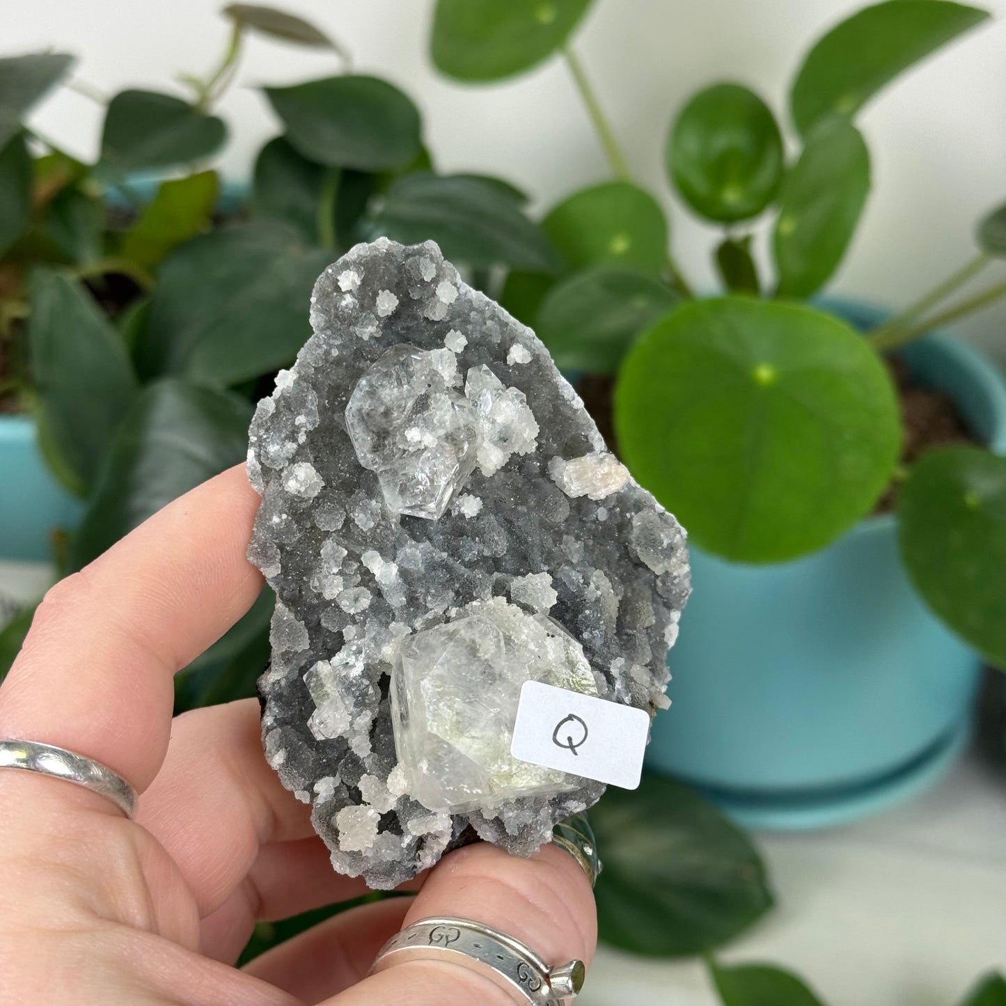 Black Chalcedony with Glossy Apophyllite