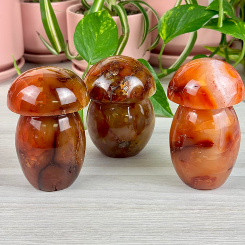 Carnelian Mushroom - Crystal Carving