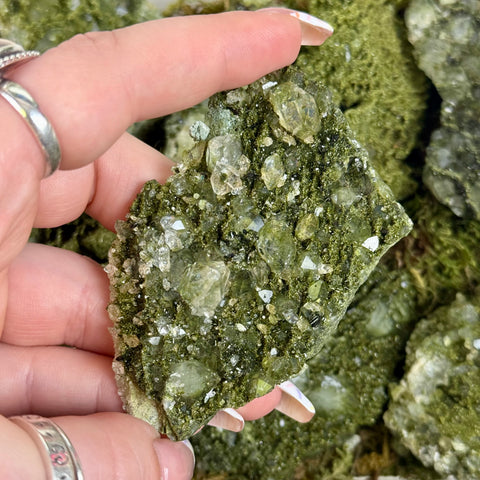 Forest Quartz