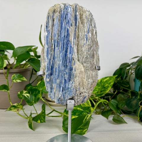 Kyanite Cluster (W/ Custom Stand)