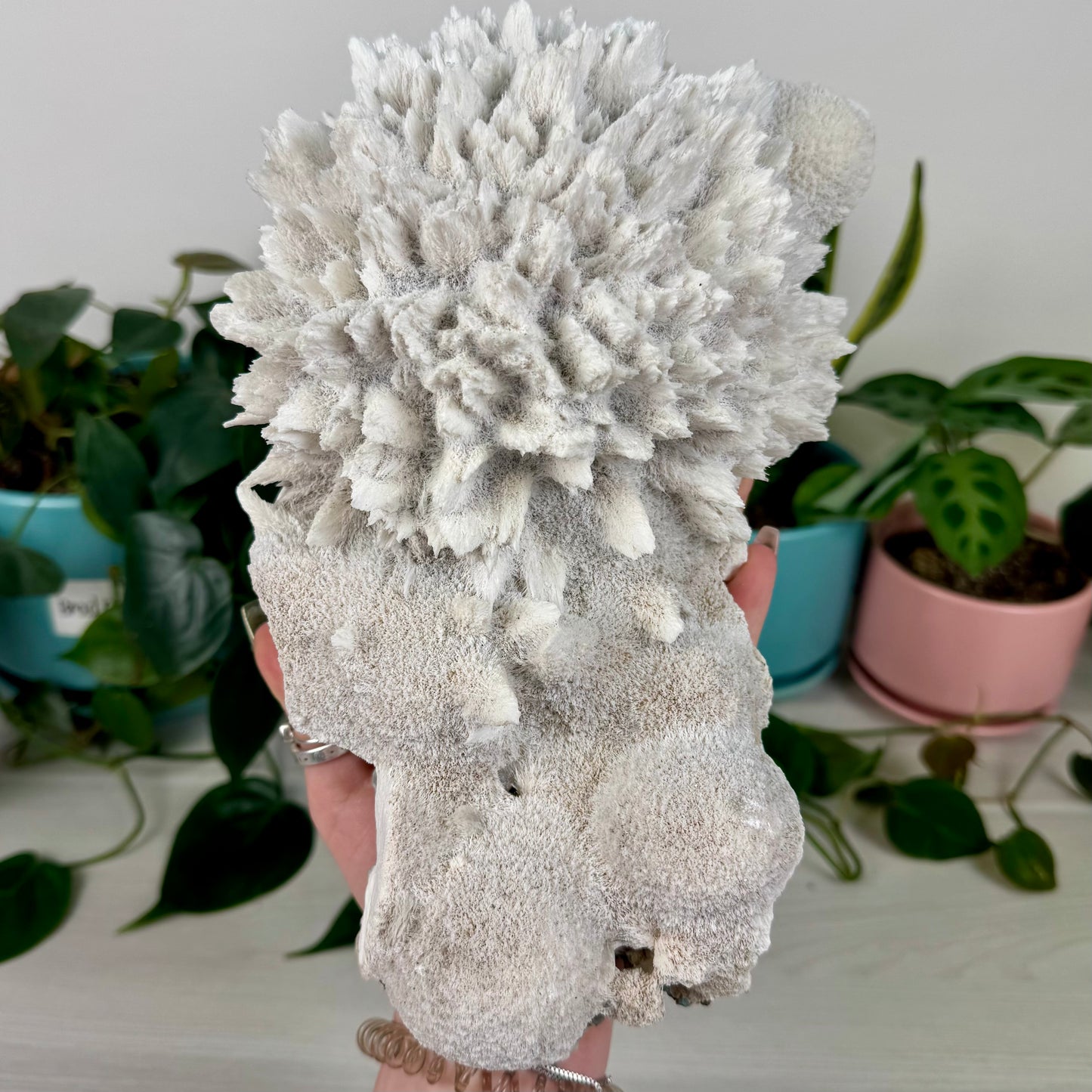 Mordenite w/ Stilbite Specimen