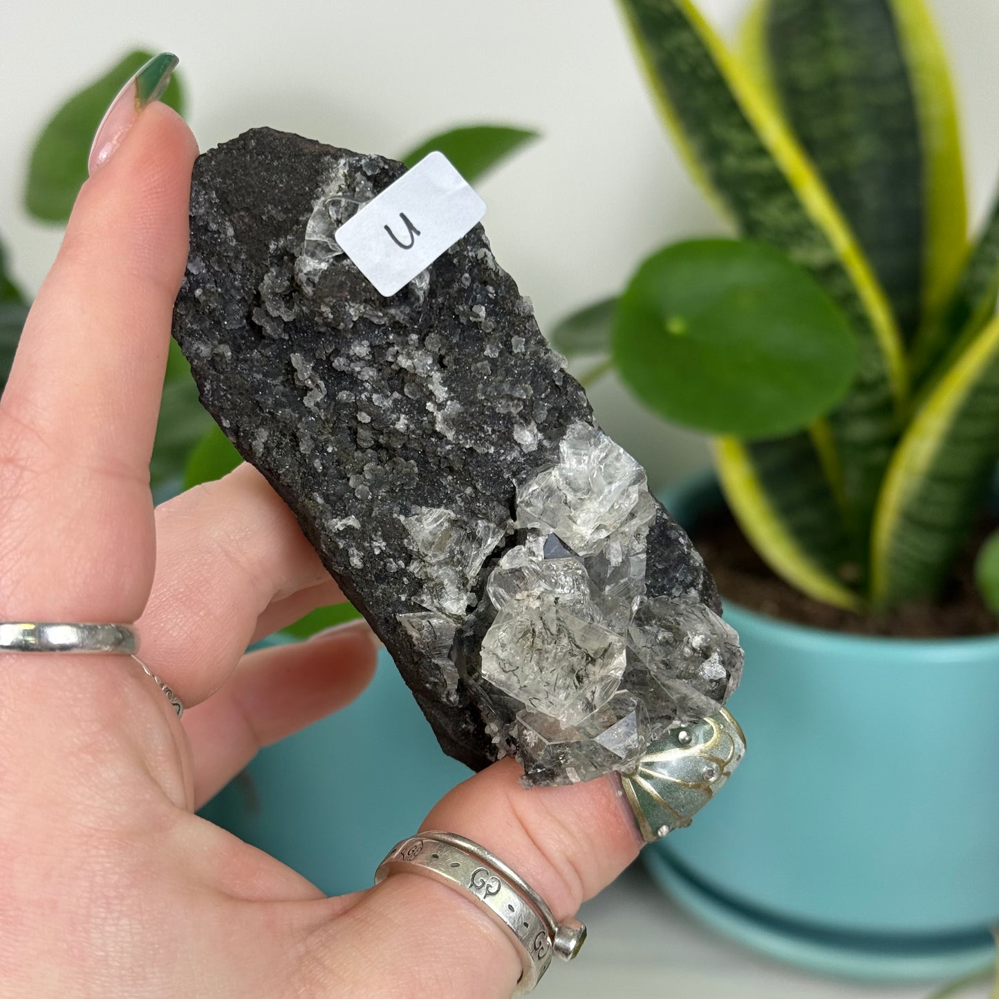 Black Chalcedony with Glossy Apophyllite