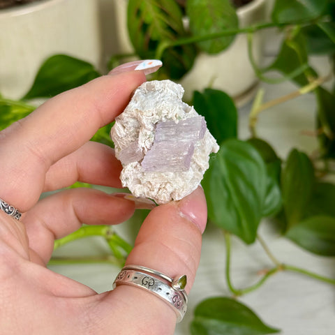 Kunzite Specimen - F