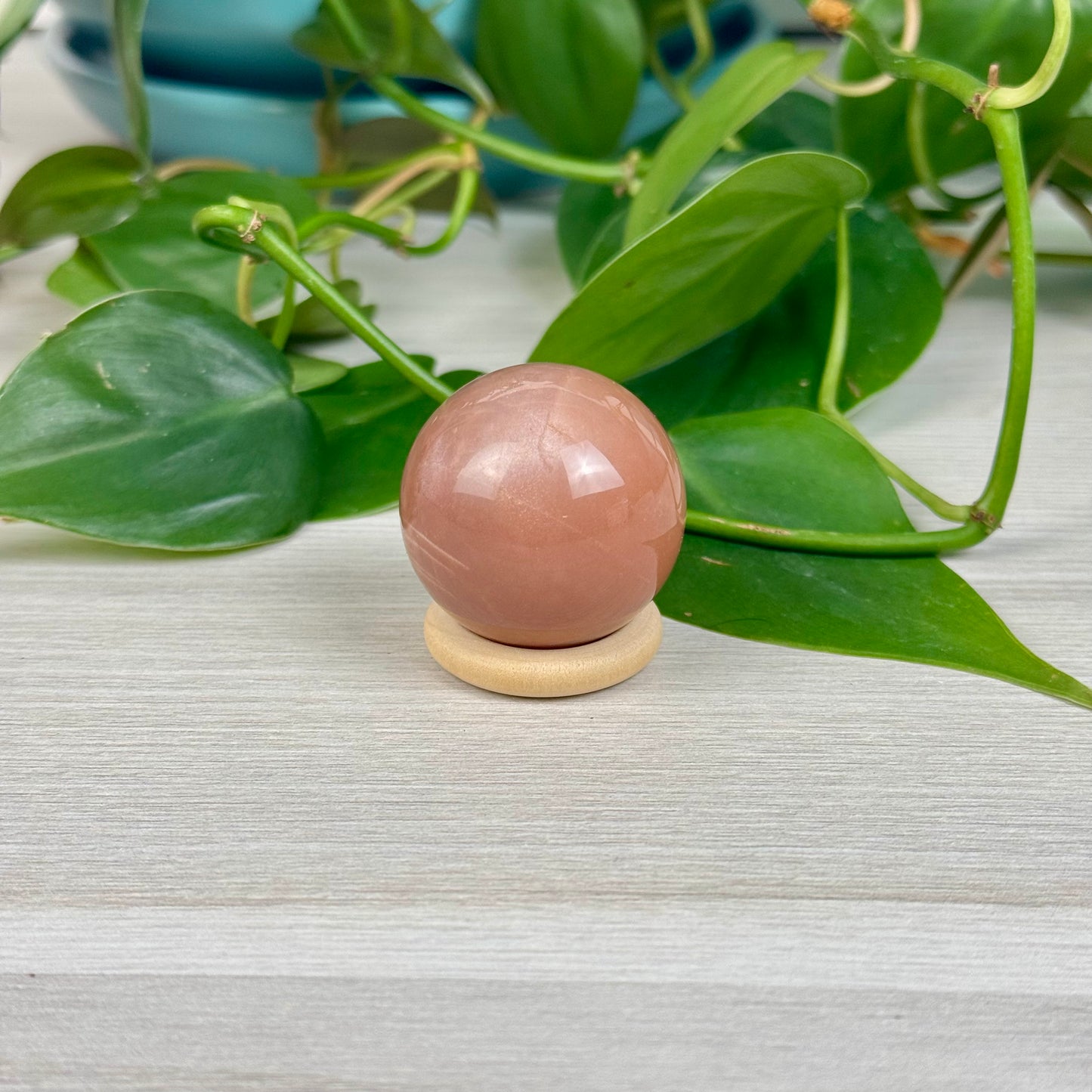 Cheerio Sphere Stands (5-Pack)