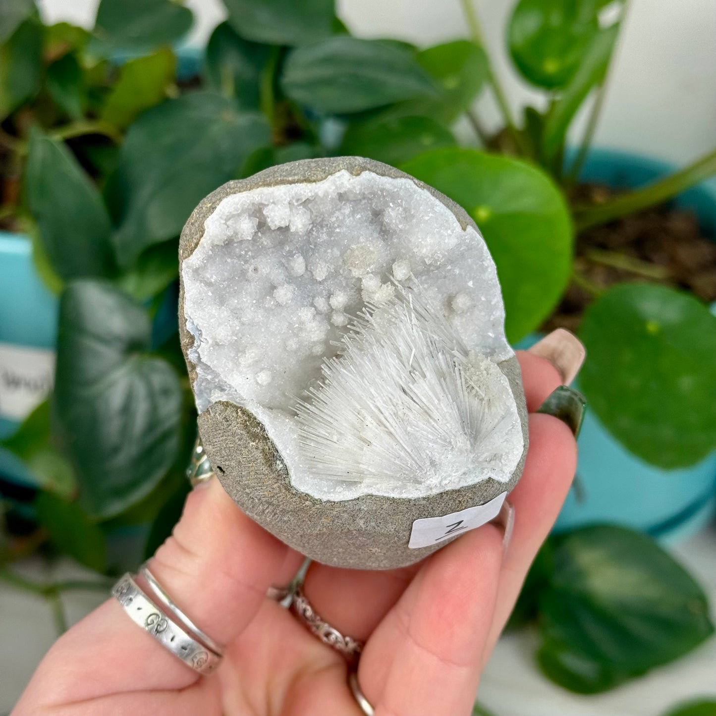 Scolecite Specimen