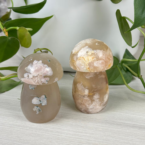 Flower Agate Mushroom