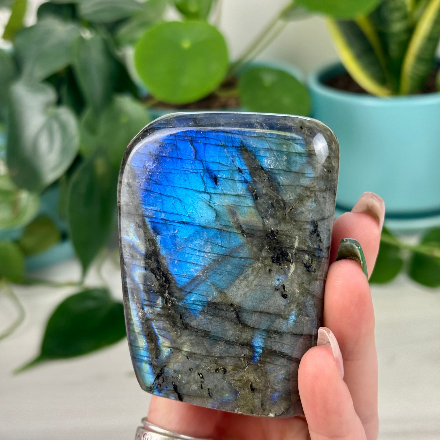 Green/Blue Labradorite Free Form