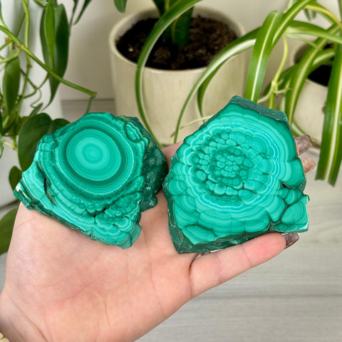 Malachite Lungs