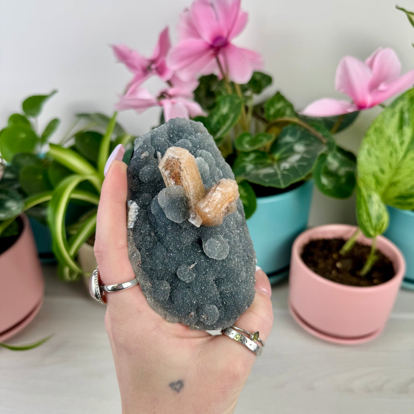 Orange Stilbite On Sparkling Blue Chalcedony