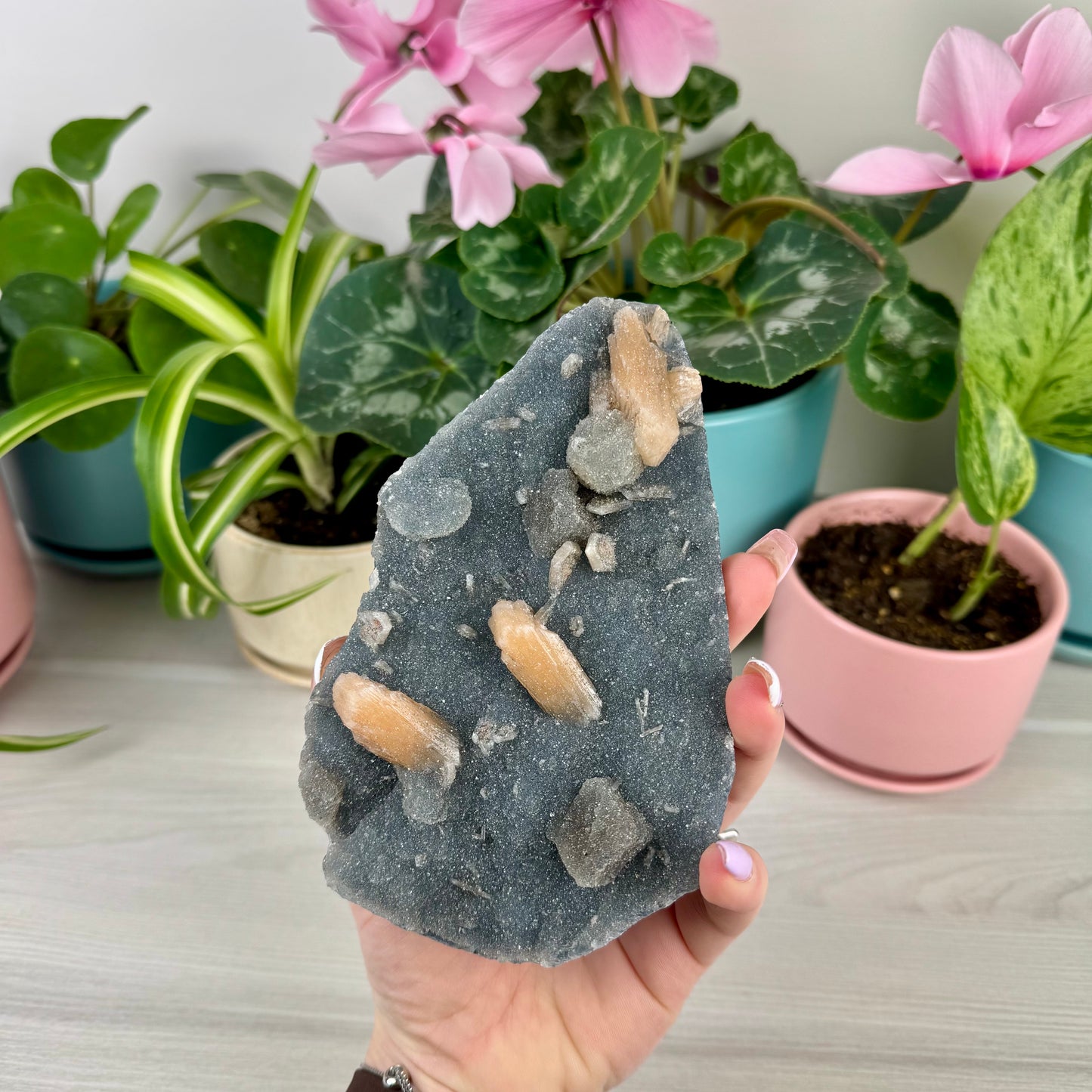 Orange Stilbite On Sparkling Blue Chalcedony
