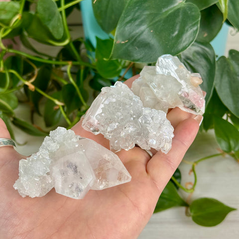 Apophyllite Cluster