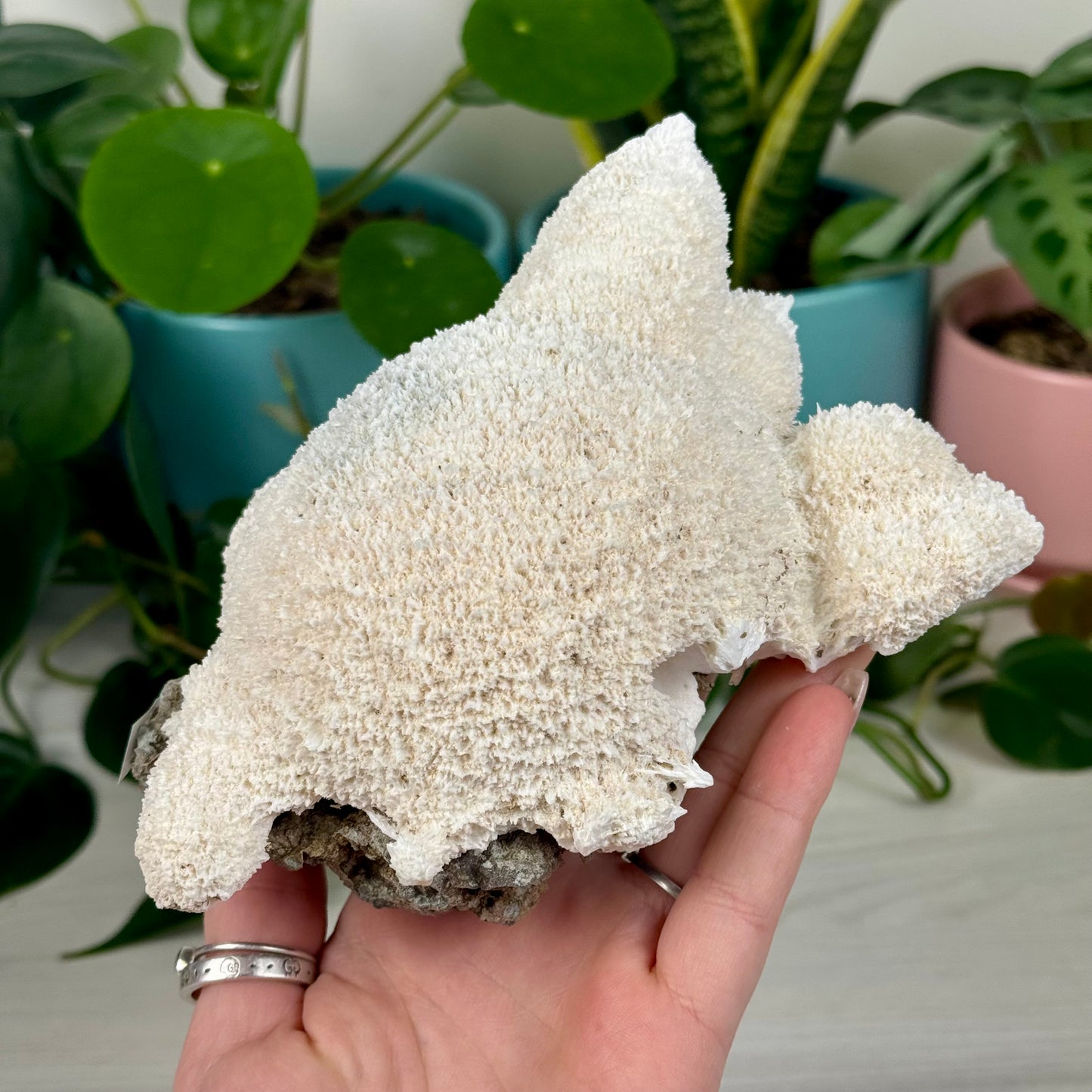 Mordenite w/ Stilbite Specimen