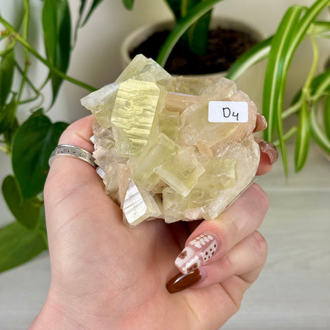 Green Goblin Apophyllite
