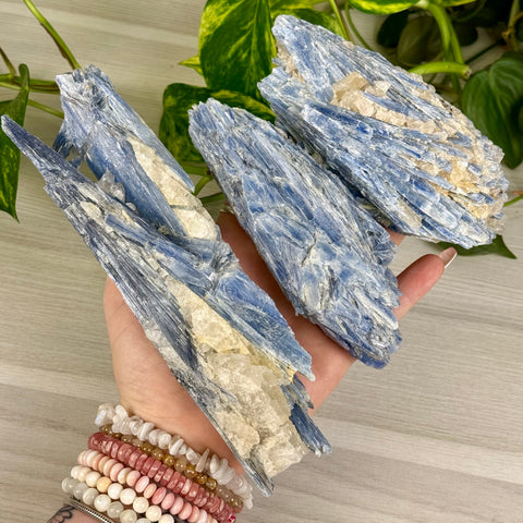 Blue Kyanite Cluster