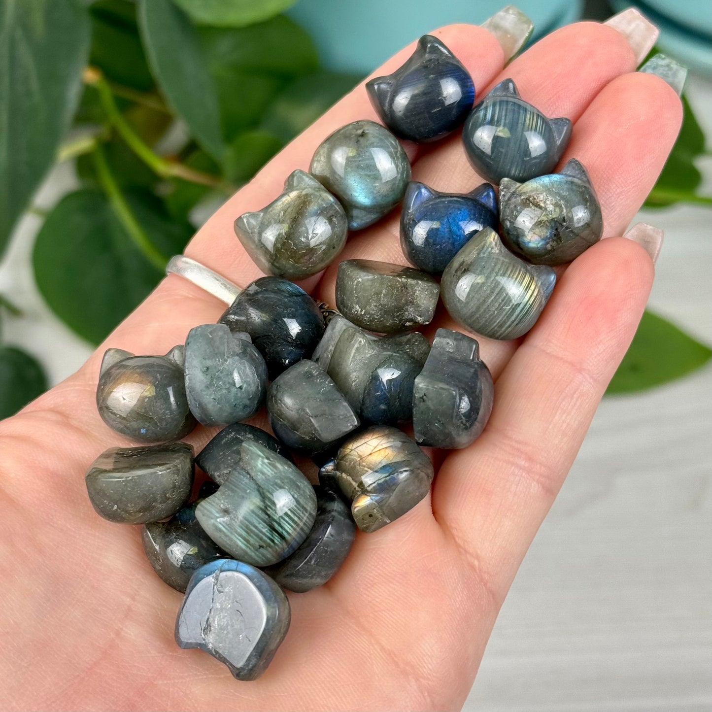 Labradorite Kitty
