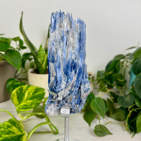 Kyanite Cluster (W/ Custom Stand)