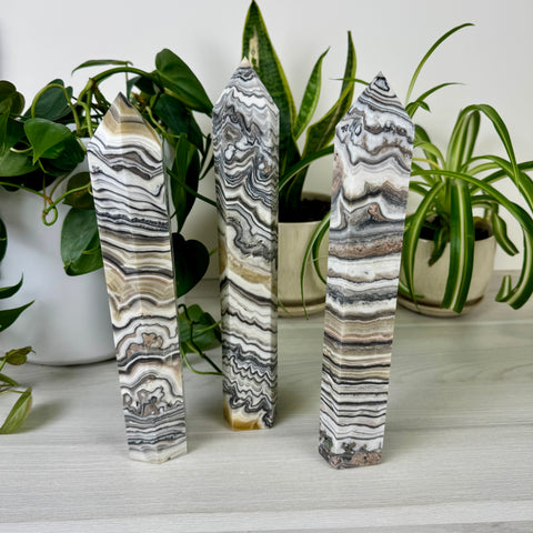 Zebra Jasper Tower