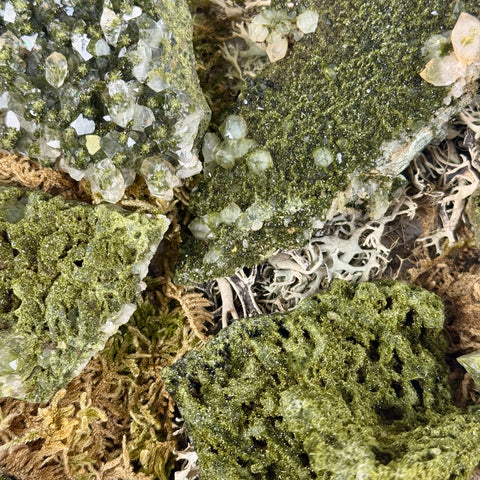 Forest Quartz