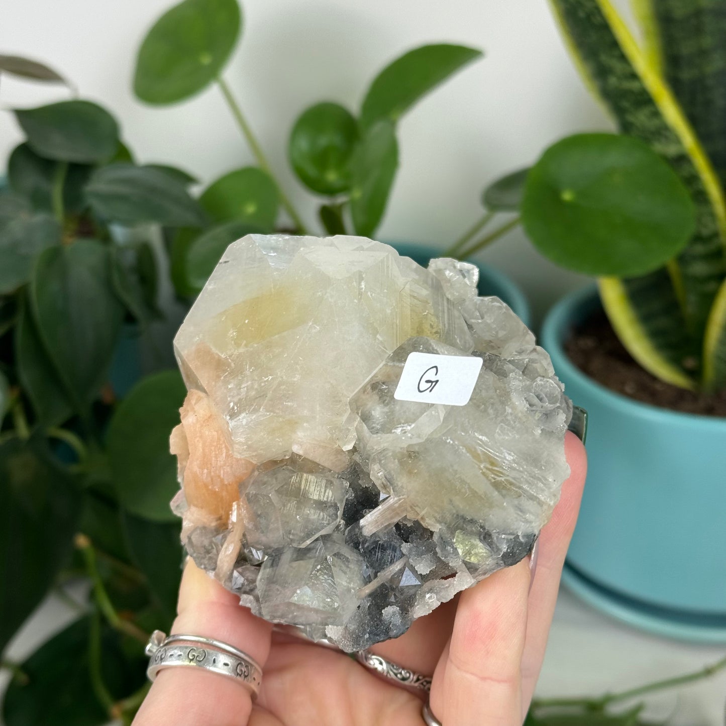 Black Chalcedony with Glossy Apophyllite