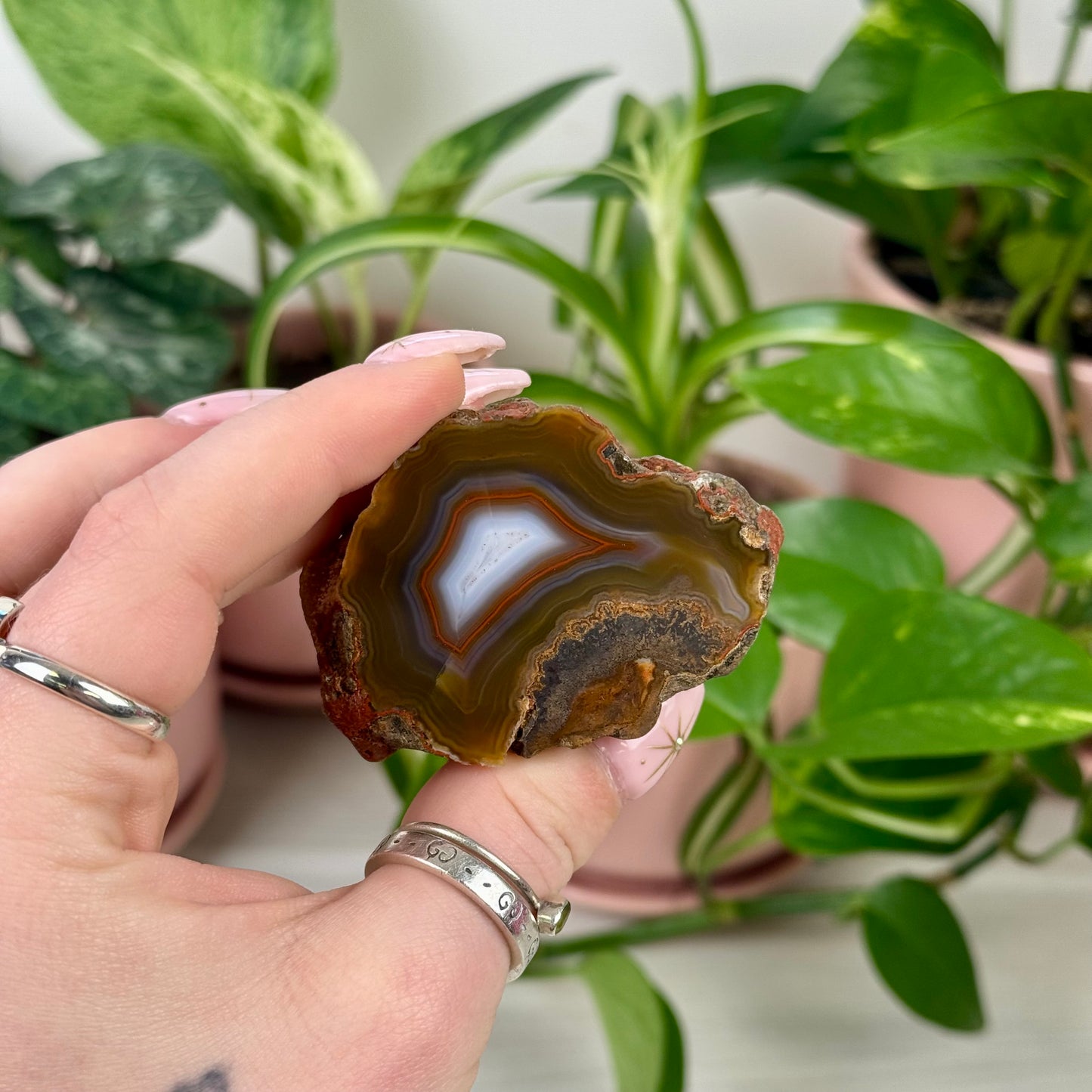 Indi Argentinian Agate