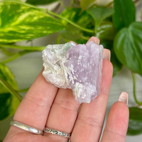 Kunzite Specimen - B