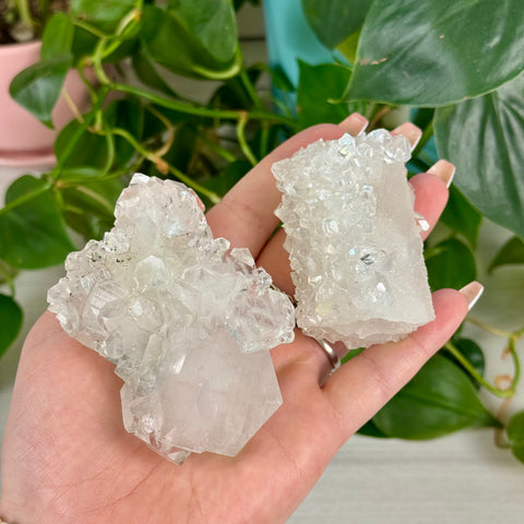Apophyllite Cluster