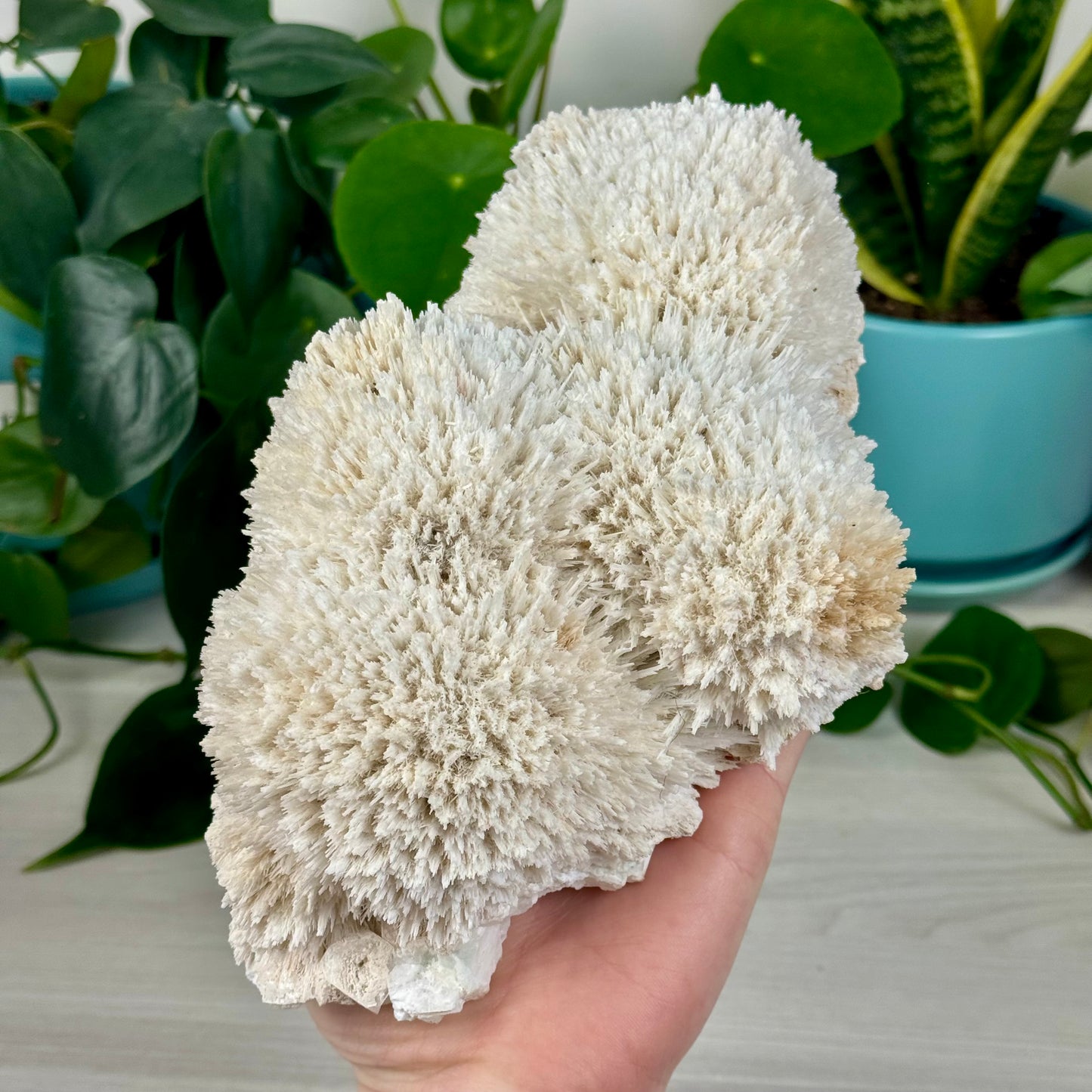 Mordenite w/ Stilbite Specimen