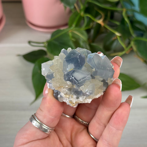 Celestite With Calcite Specimen
