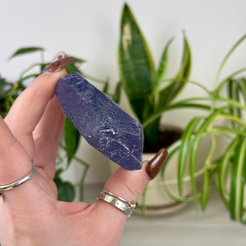 Bicolour Kunzite