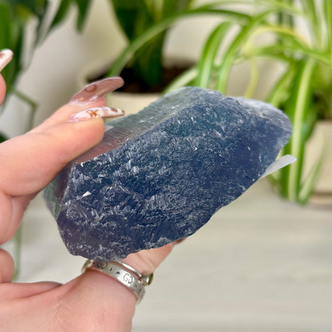Bicolour Kunzite