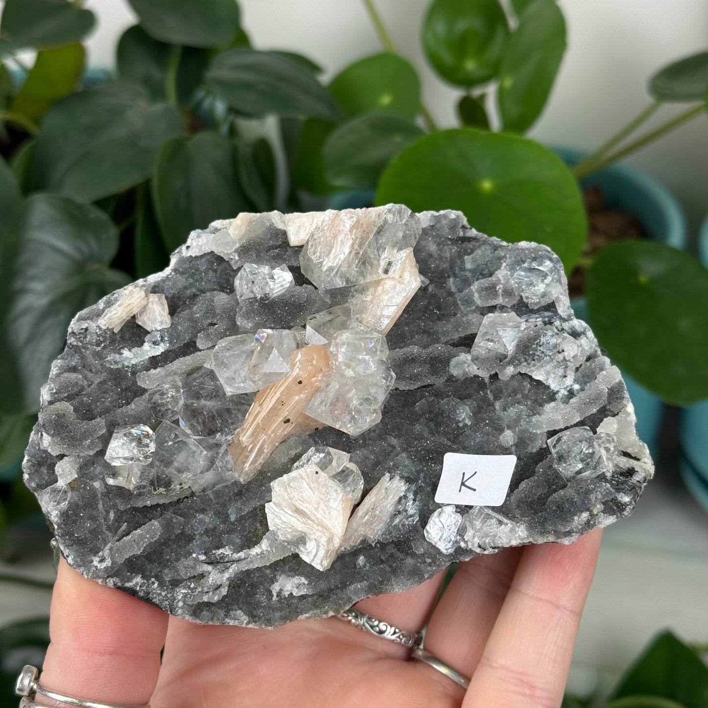 Black Chalcedony with Glossy Apophyllite