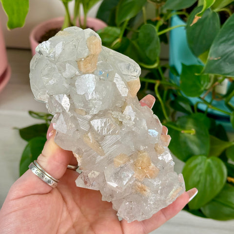 Apophyllite Cluster