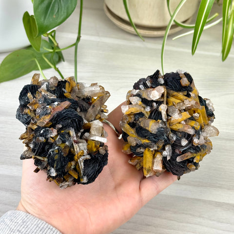 Hematite Roses With Harlequin Quartz Specimen