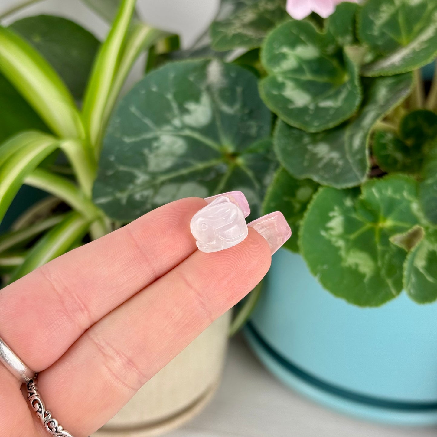 Mini AAA Moonstone Bunny
