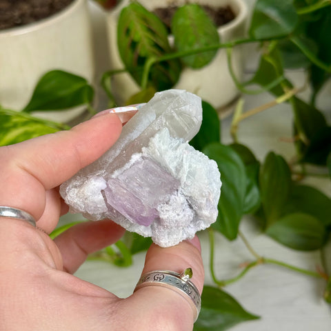Kunzite Specimen - H