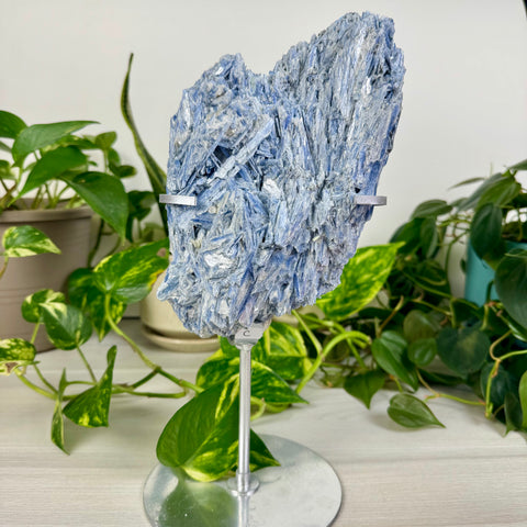 Kyanite Cluster (W/ Custom Stand)