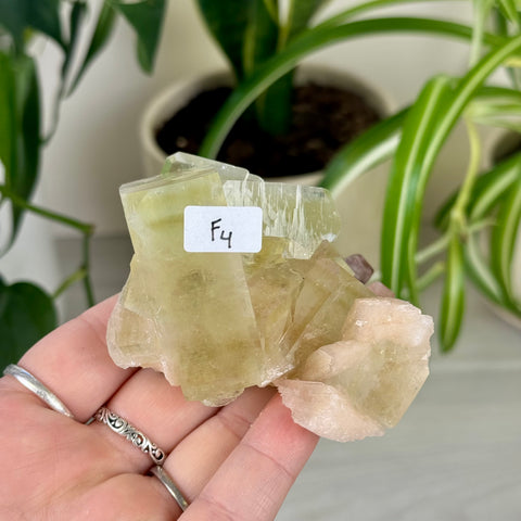 Green Goblin Apophyllite